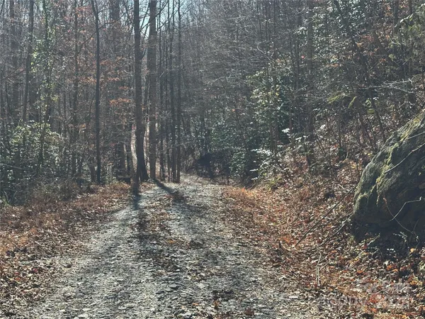 a big yard with lots of green space and plants