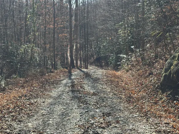 a view of a backyard of the house