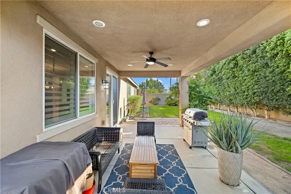 a living room with patio furniture and a potted plant