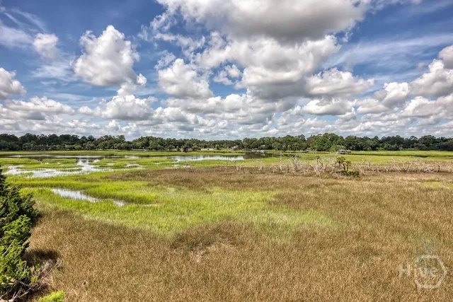 $3,700 | 15 Egrets Nest Drive, Savannah, GA 31406