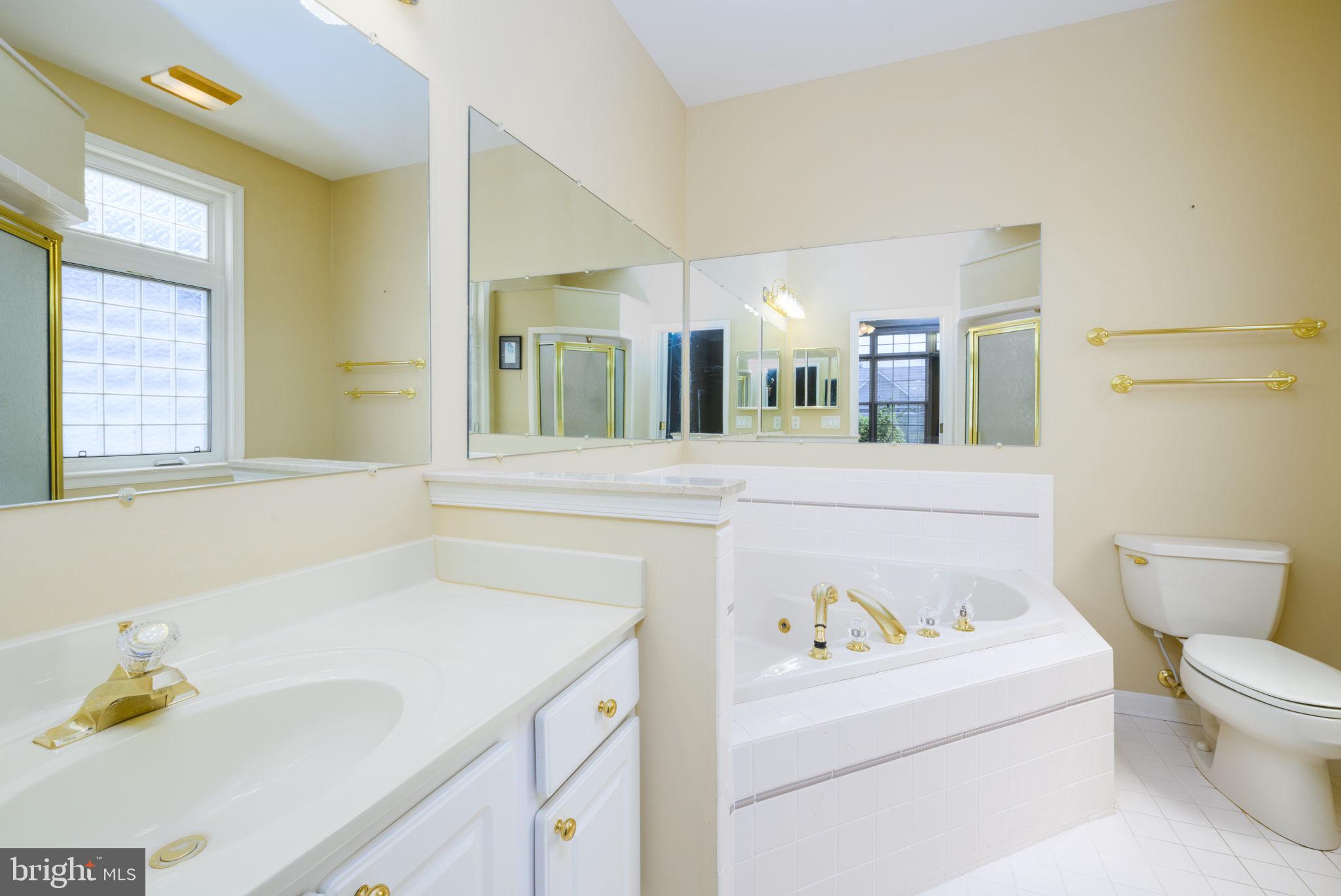16841 Devon Road Lewes, DE 19958 - Photo 12 of 43 a bathroom with a sink a toilet and bathtub