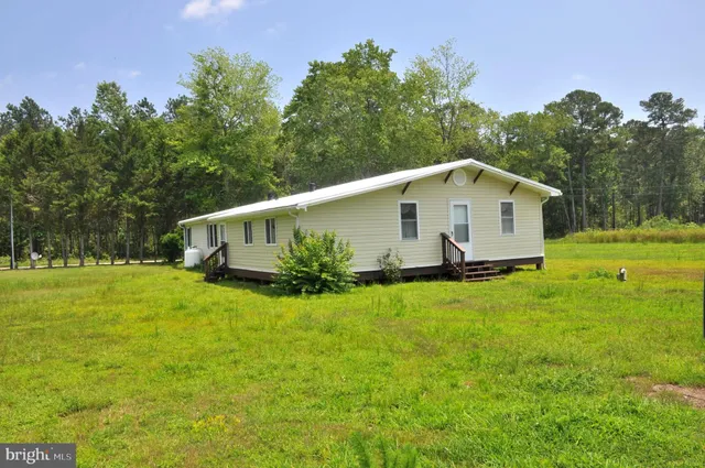 a view of a backyard with plants and large trees