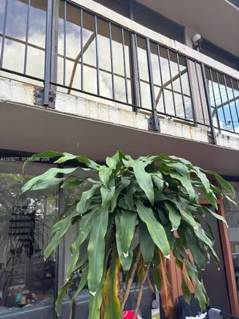 $3,500 | 3190 Bird Avenue, Unit 15, Coconut Grove, FL 33133