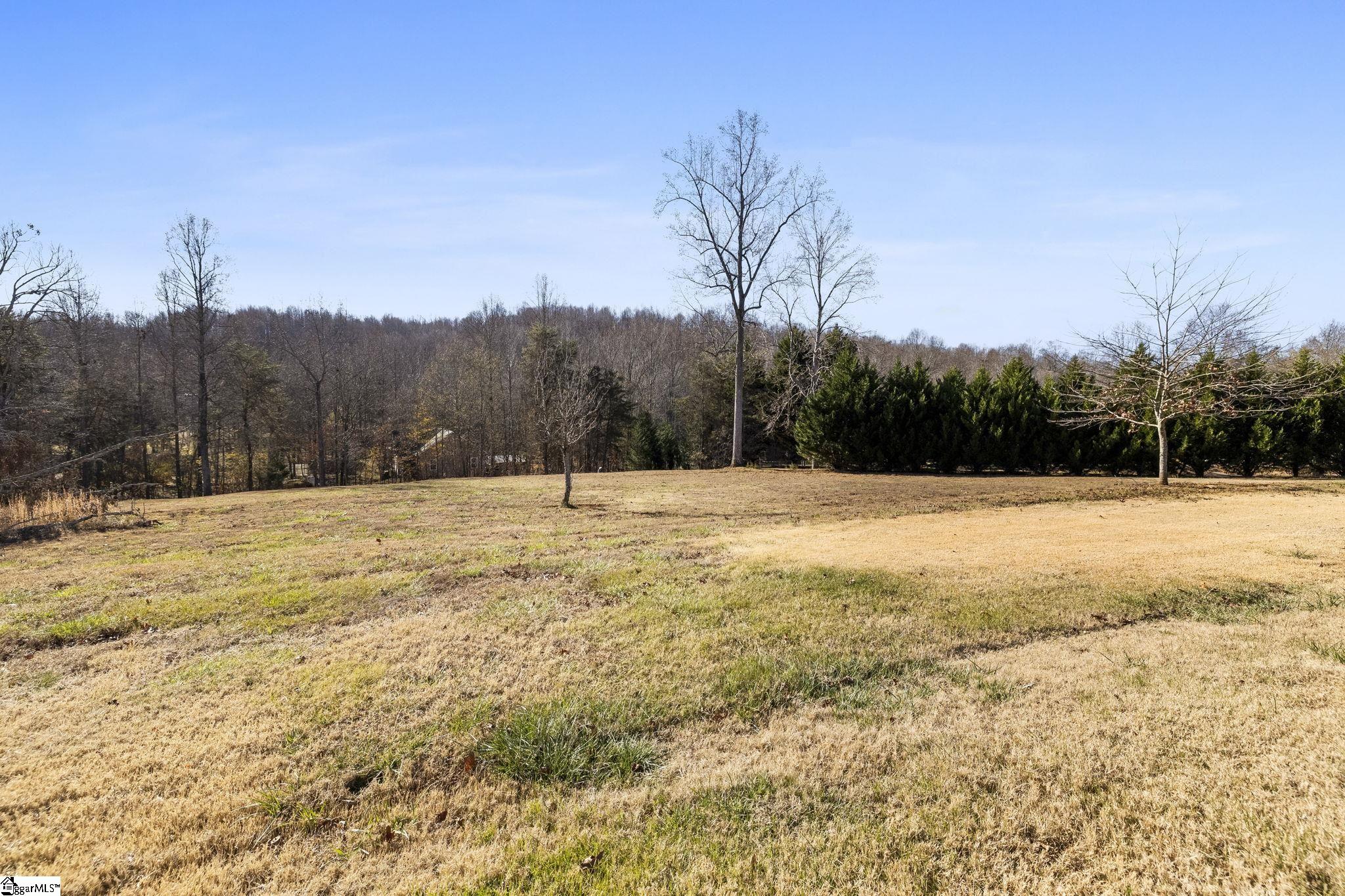 650 Belvue Road Travelers Rest, SC 29690 - Photo 34 of 35