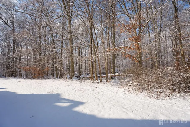 a view of snow on the road