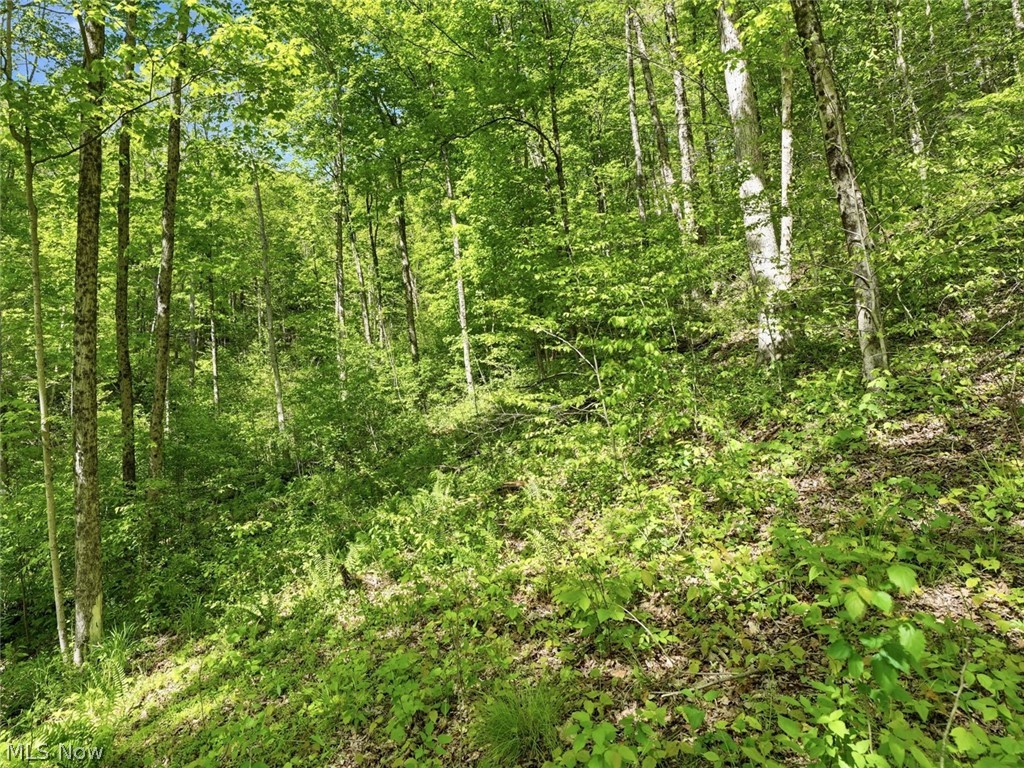 0 Pratts Run Road Woodsfield, OH 43793 - Photo 21 of 24