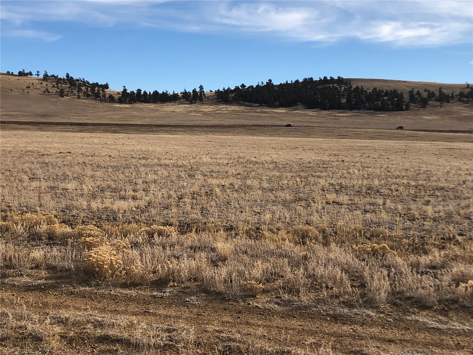 1189 Fairview Road Hartsel, CO 80449 - Photo 7 of 13 Gallery Image 7