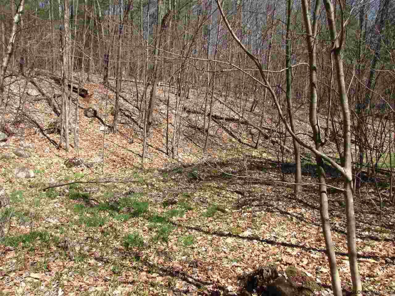 37 Young Road Greenfield, NY 12850 - Photo 15 of 15 Photo 16