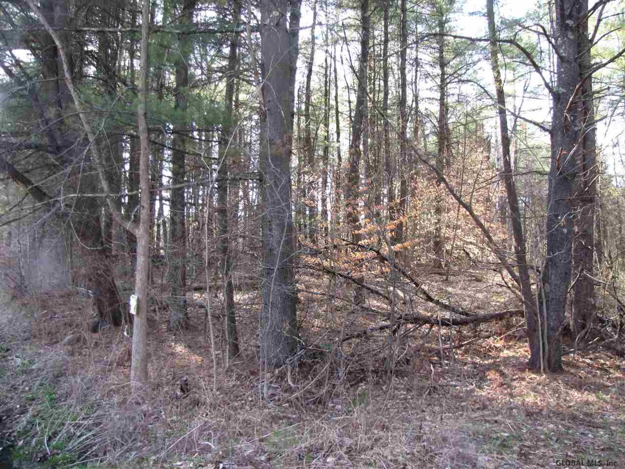 37 Young Road Greenfield, NY 12850 - Photo 8 of 15 Photo 8