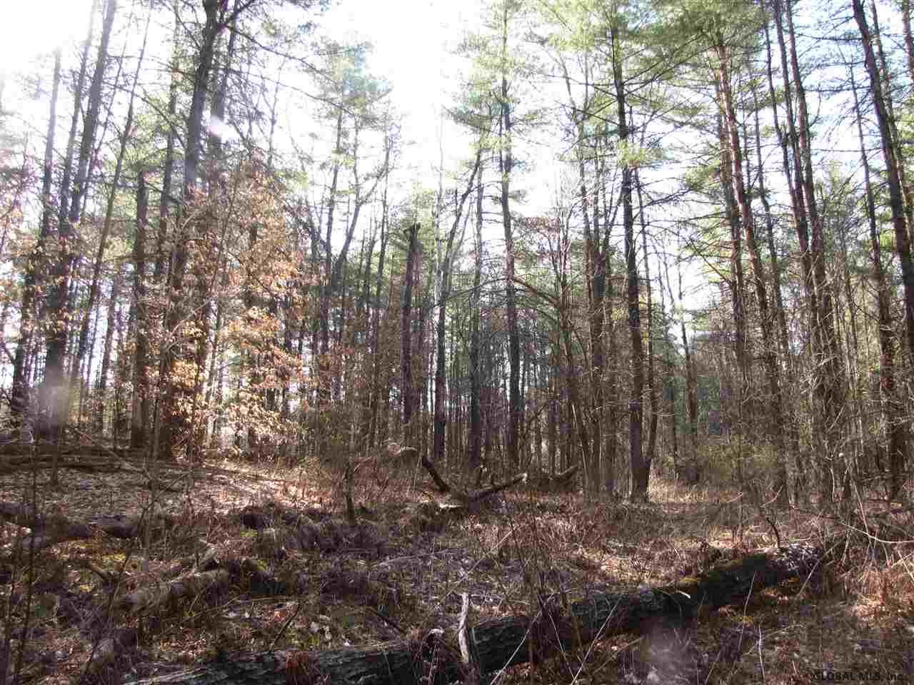37 Young Road Greenfield, NY 12850 - Photo 9 of 15 Photo 9