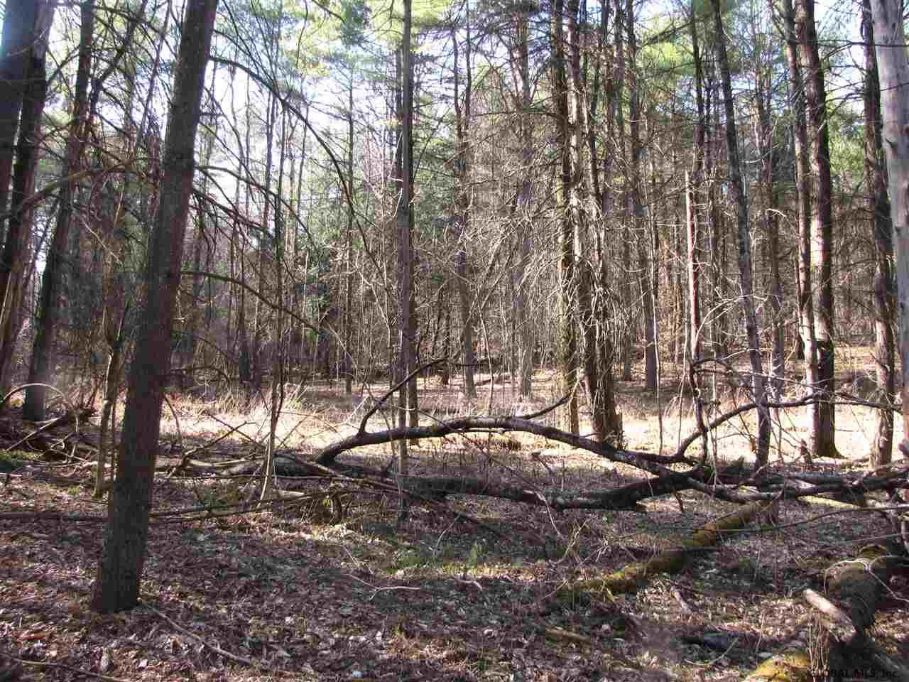 37 Young Road Greenfield, NY 12850 - Photo 10 of 15 Photo 10