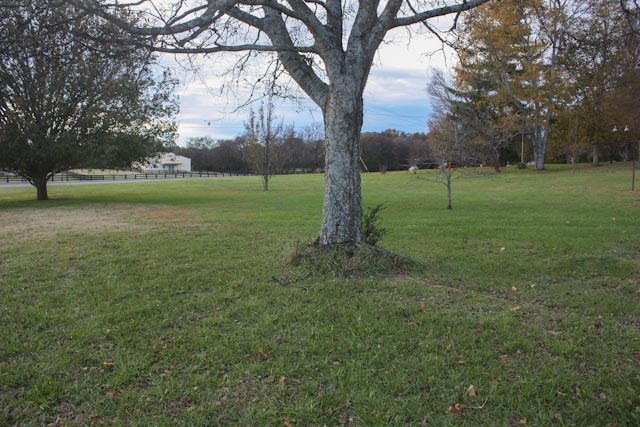 3438 John Windrow Road Eagleville, TN 37060 - Photo 11 of 35 Gallery Image 11