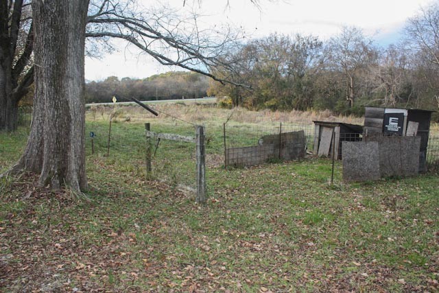 3438 John Windrow Road Eagleville, TN 37060 - Photo 21 of 35 Gallery Image 21