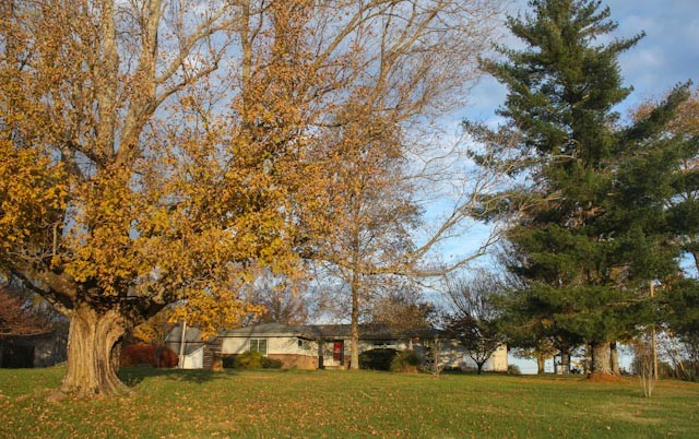 3438 John Windrow Road Eagleville, TN 37060 - Photo 26 of 35 Gallery Image 26