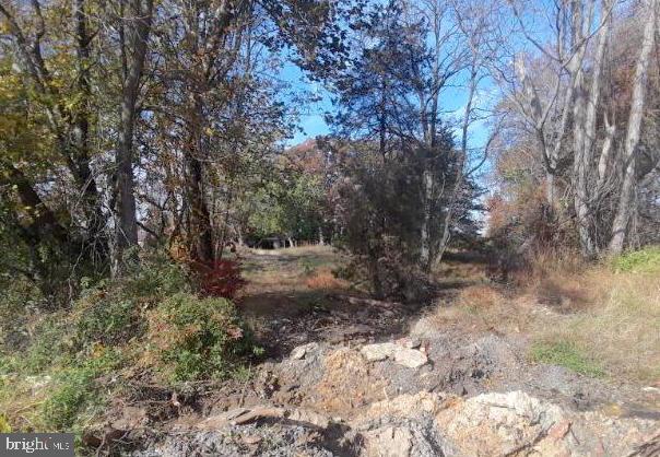 352 Meany Road Wrightstown, NJ 08562 - Photo 5 of 17