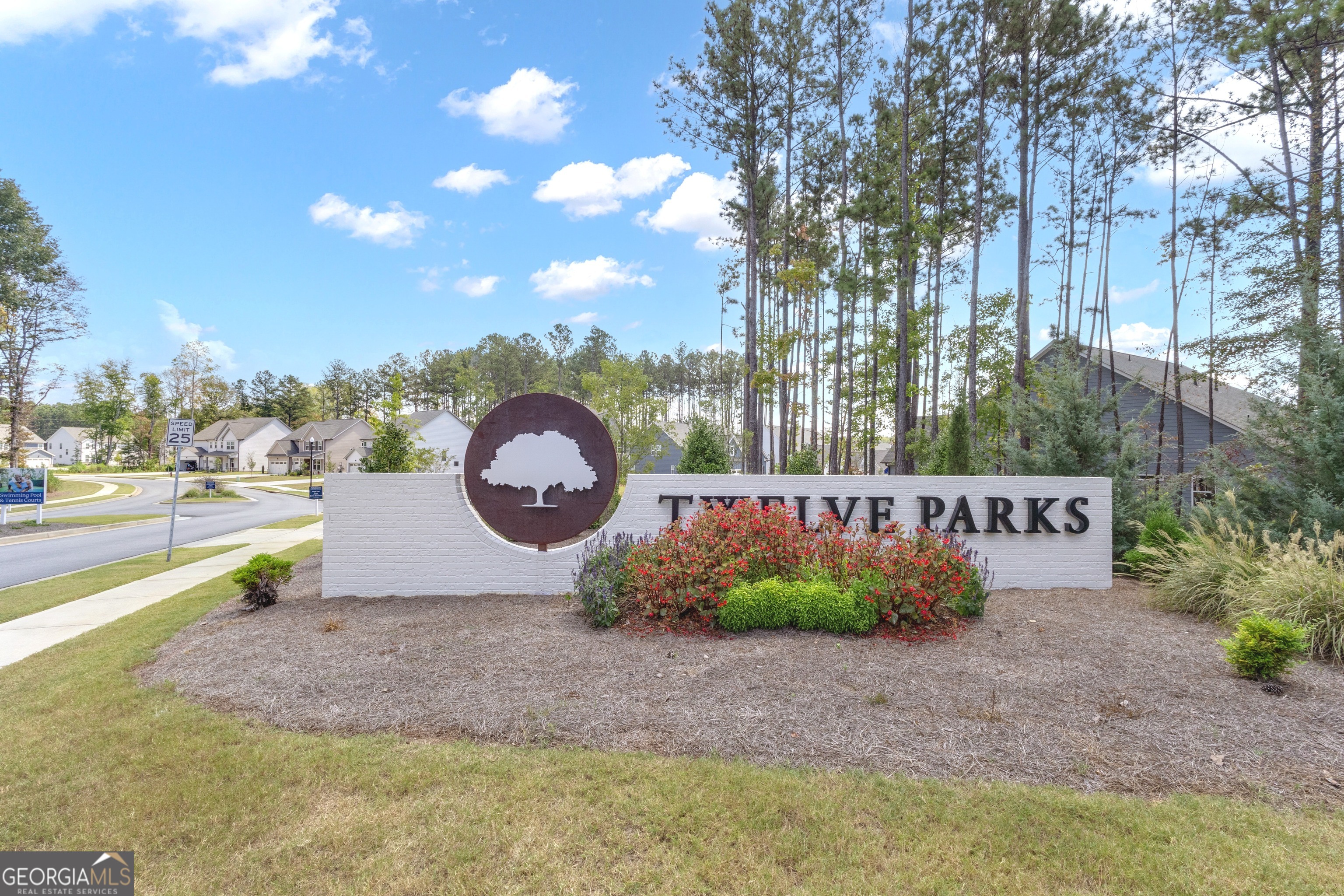 9 Baral Ridge Sharpsburg, GA 30277 - Photo 2 of 47