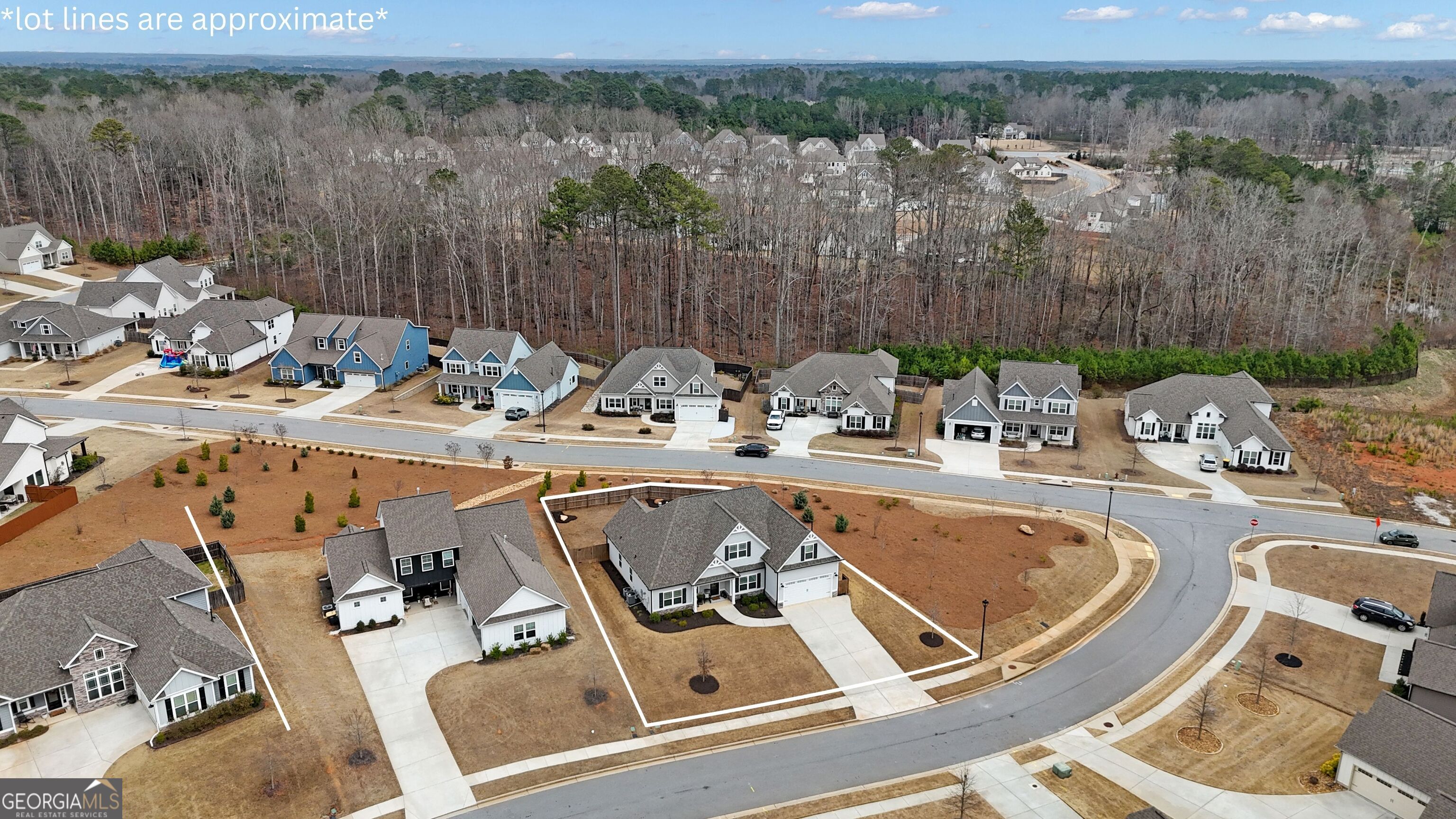 9 Baral Ridge Sharpsburg, GA 30277 - Photo 3 of 47