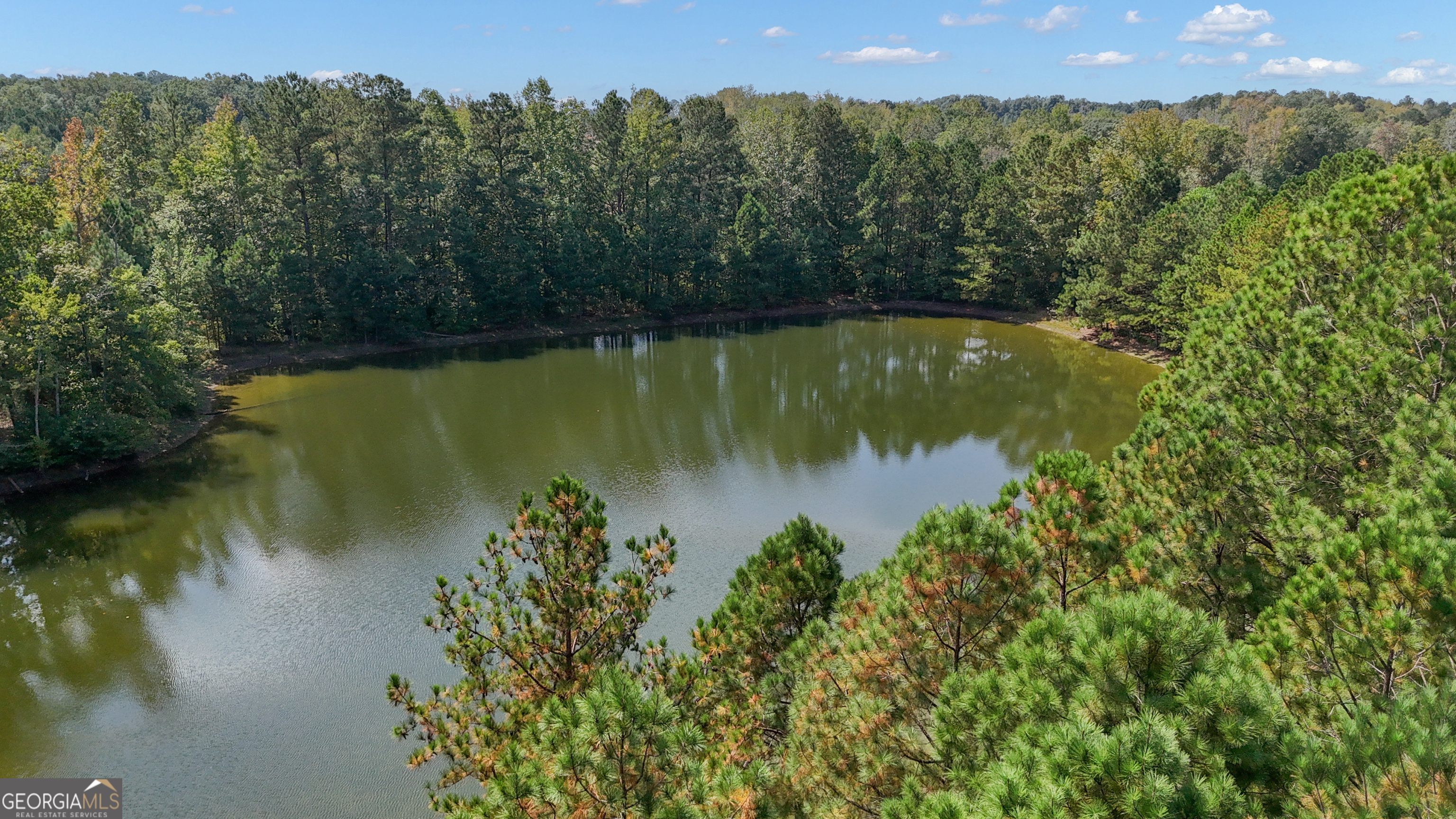 9 Baral Ridge Sharpsburg, GA 30277 - Photo 47 of 47