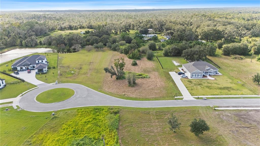 15323 Fishhawk Heights Road Lithia, FL 33547 - Photo 4 of 14