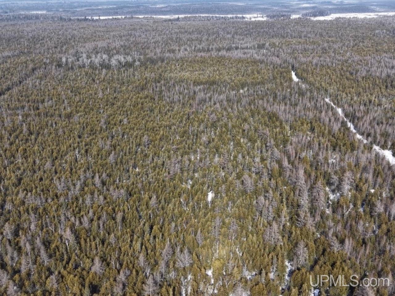 W 80-acres River Road Gulliver, MI 49840 - Photo 25 of 29