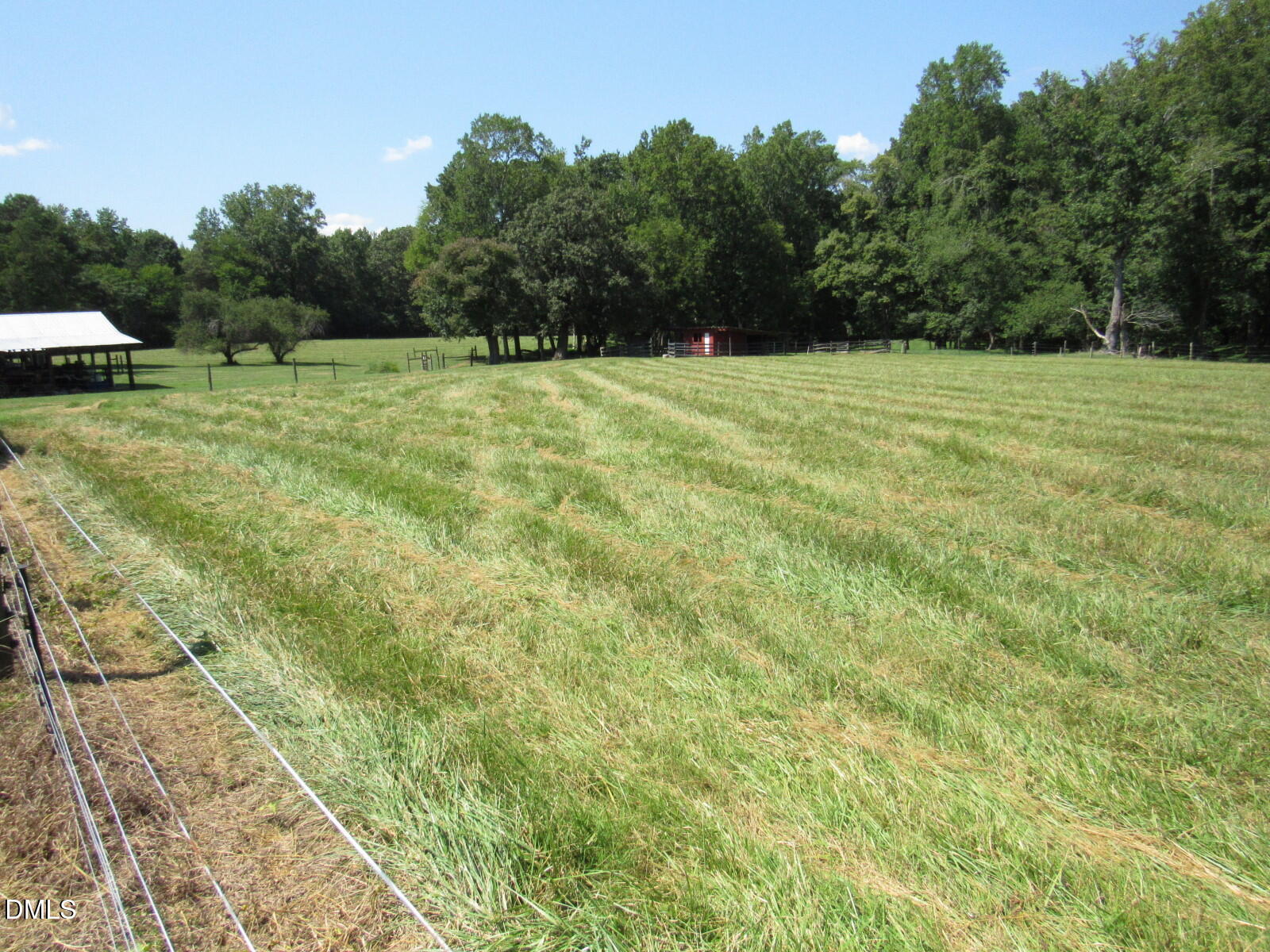 Field