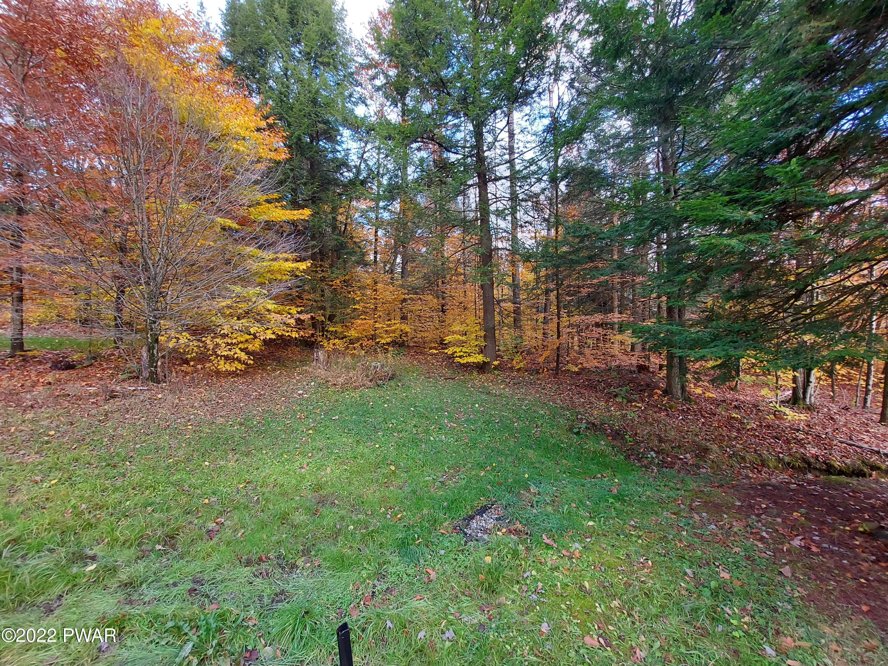 387 Willoway Road Susquehanna, PA 18847 - Photo 8 of 13 yard 3