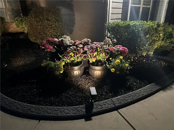 a bunch of flowers are in a garden