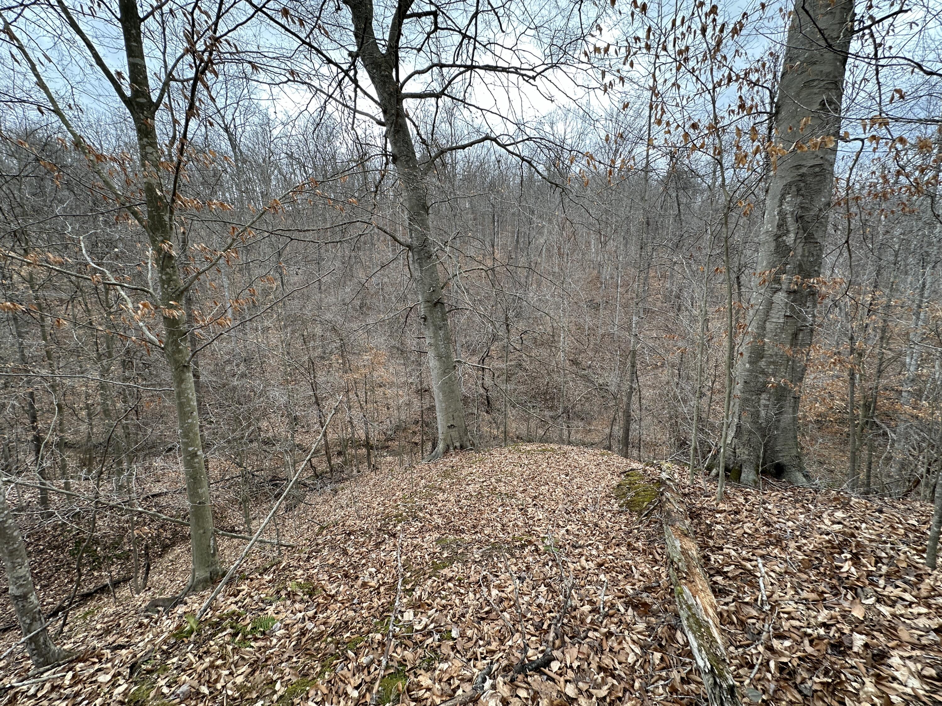 11 Williams Creek Road Rush, KY 41168 - Photo 23 of 42 22
