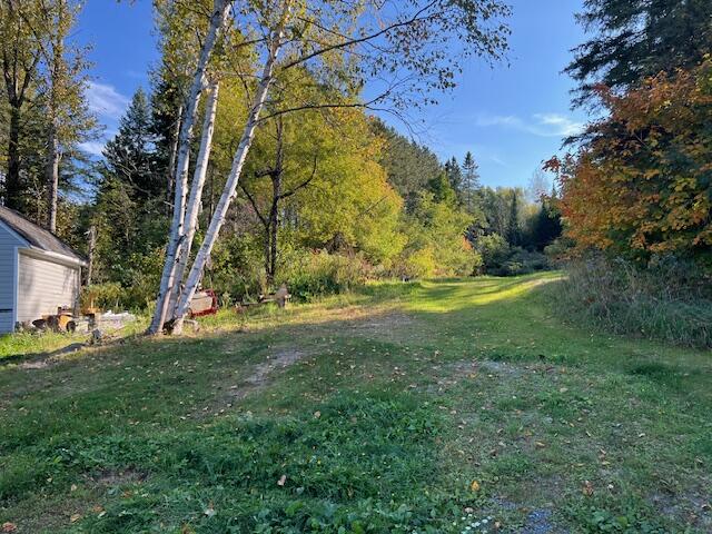 287 South Caribou Road Fort Fairfield, ME 04742 - Photo 8 of 22 South lawn