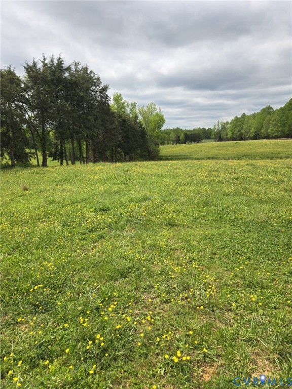 0 Perkinsville Road Maidens, VA 23102 - Photo 22 of 31