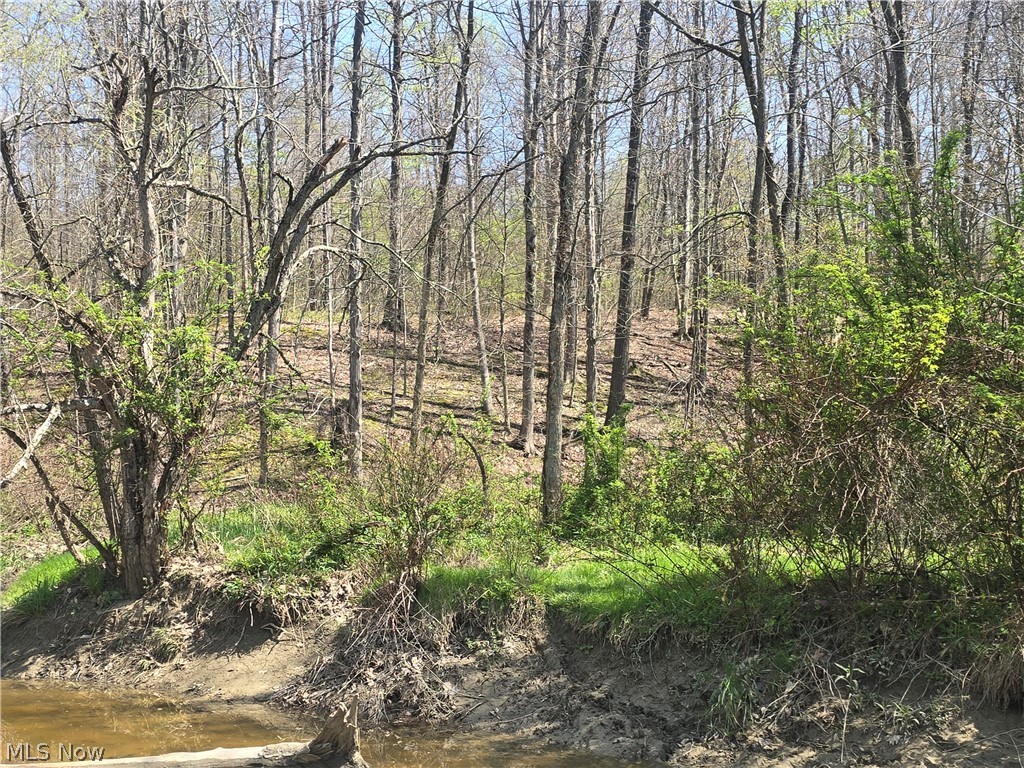 Tische Road Jefferson, OH 44047 - Photo 11 of 21