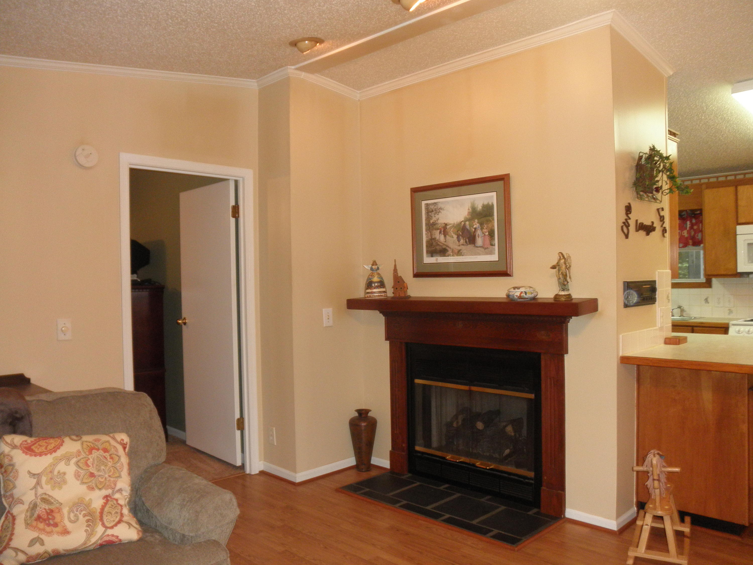 135 2 Branch Road Rockingham, NC 28379 - Photo 8 of 23 Living