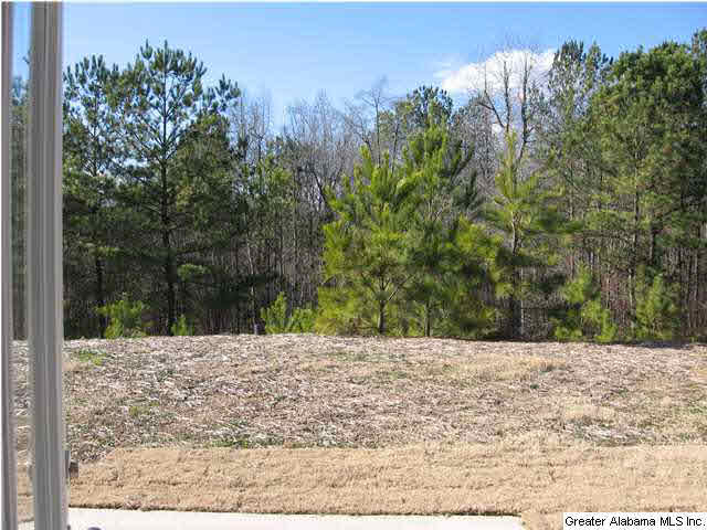1005 Springfield Drive, Unit 2 Chelsea, AL 35043 - Photo 6 of 16