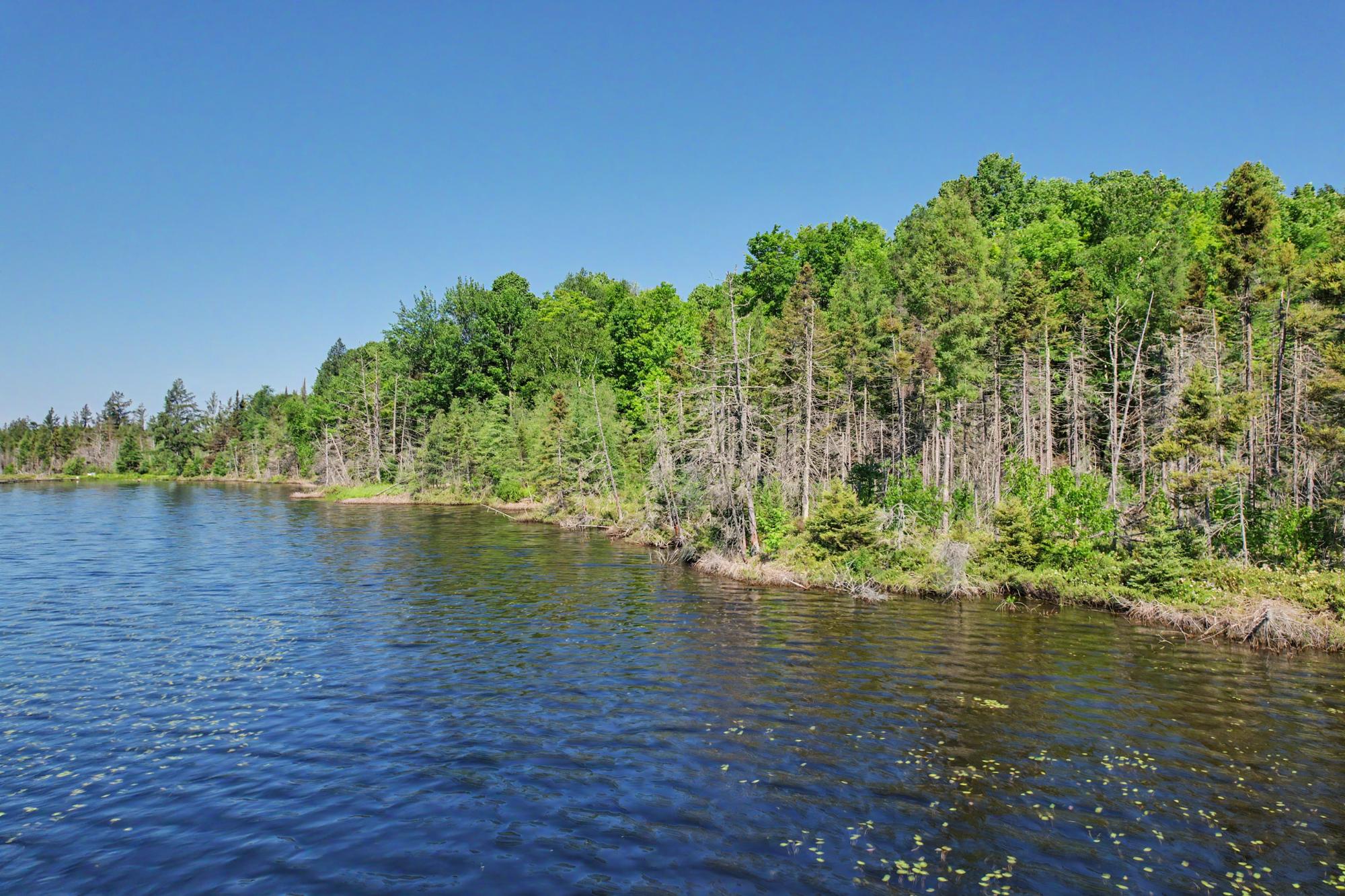 Lot C Mill Lake Road Rhinelander, WI 54501 - Photo 10 of 10 Gallery Image 10