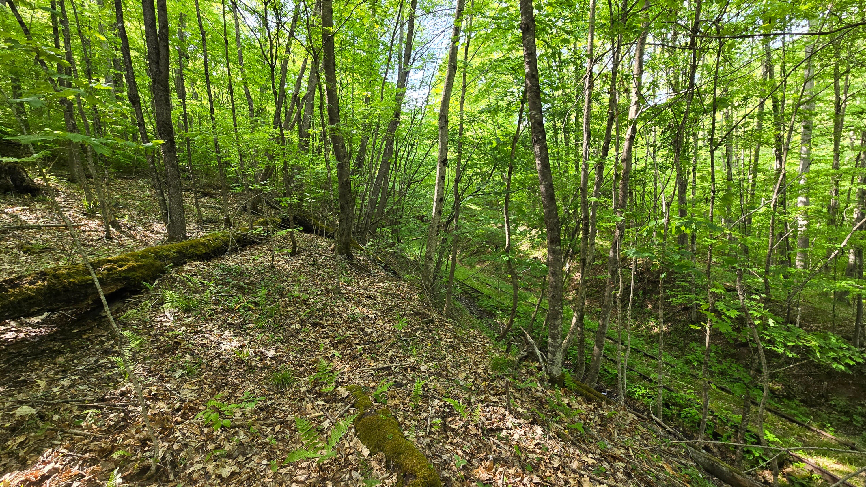 Lot 14 Roberts Ridge Valley Head, WV 26294 - Photo 8 of 12 Gallery Image 8