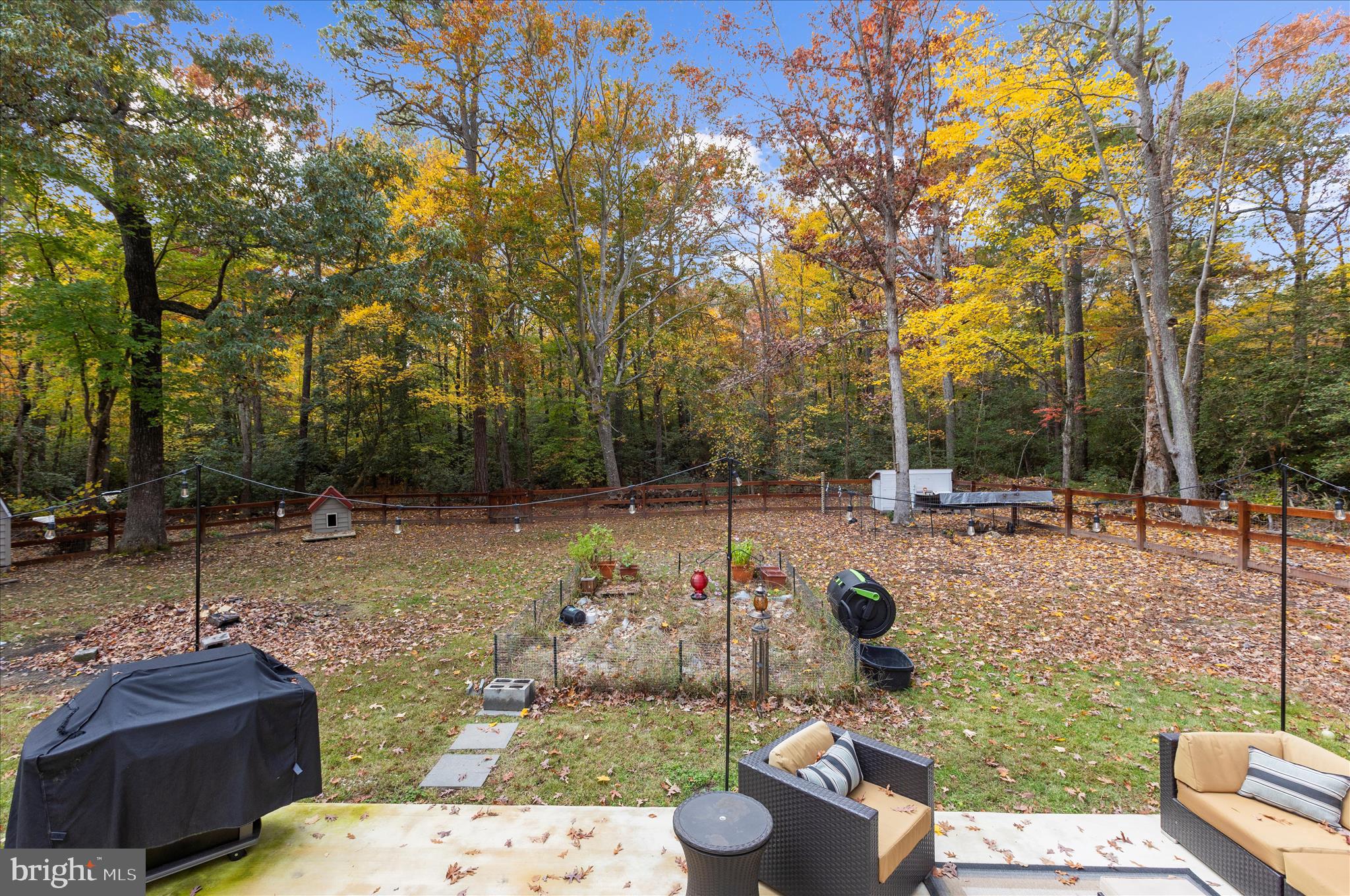 17797 Point Lookout Road Lexington Park, MD 20653 - Photo 27 of 33 Yard View