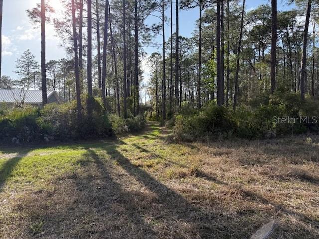 19 St Inglis Inglis, FL 34449 - Photo 5 of 8 a view of outdoor space and yard