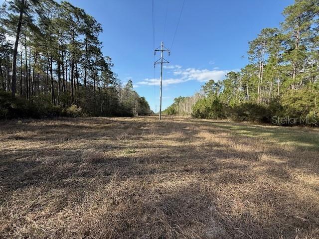 19 St Inglis Inglis, FL 34449 - Photo 7 of 8 a view of a yard with a tree