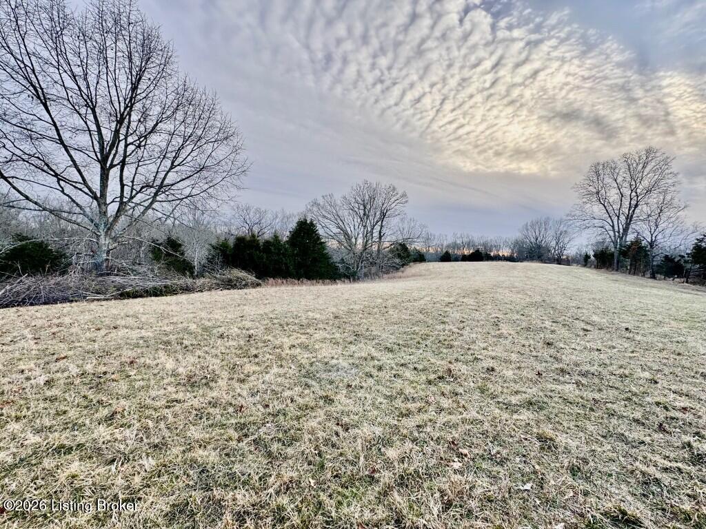 4801 Chaplin Road Willisburg, KY 40078 - Photo 7 of 8 IMG_6206 (Medium)