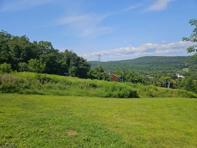 a view of a field with an ocean