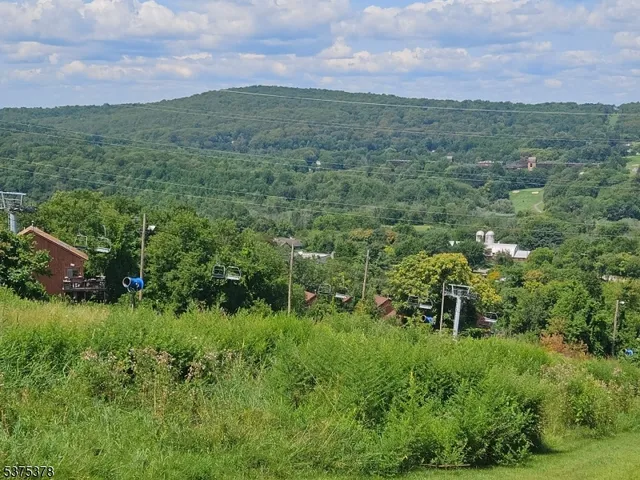 a view of a lush green field