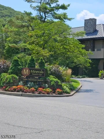 a view of a flower in a garden