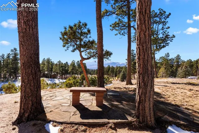 a view of a big room with a fireplace and windows