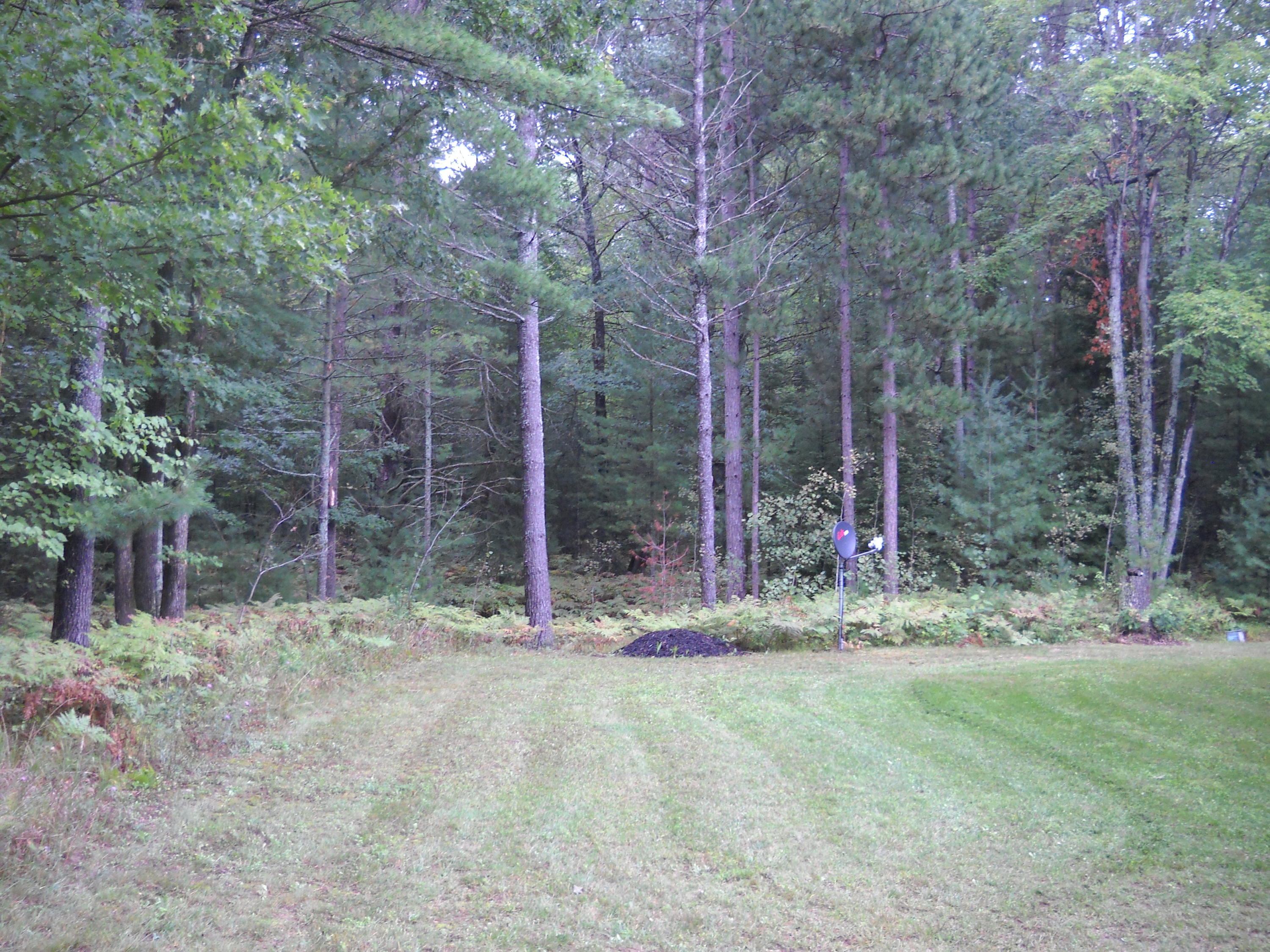 4109 Williams Road Lewiston, MI 49756 - Photo 6 of 35 Gallery Image 6