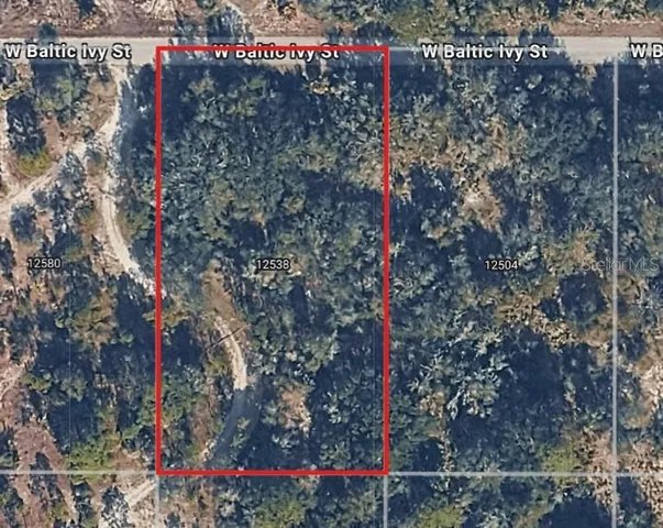 a view of a bird bath room