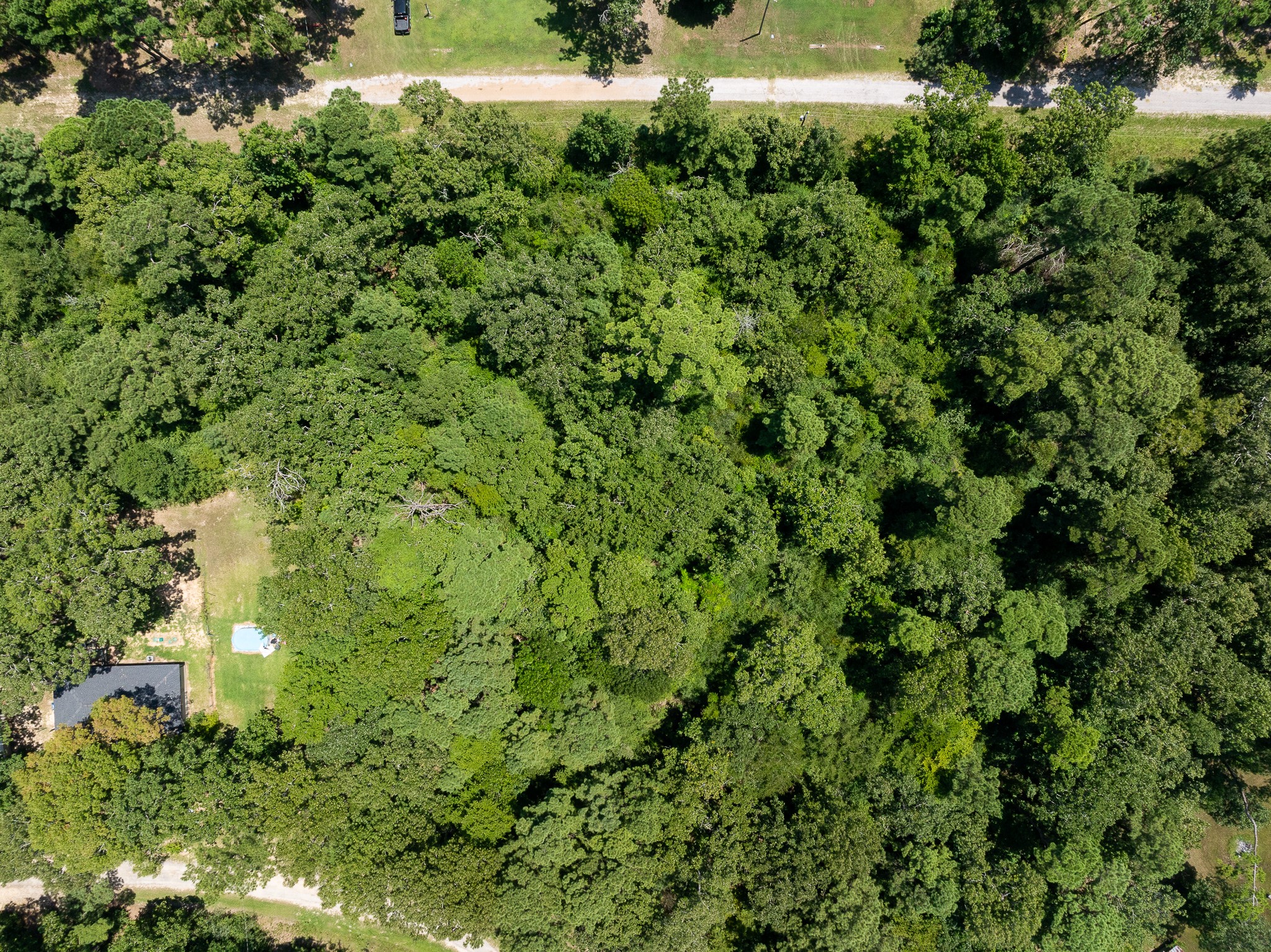Tba Buzzard Roost Trail Trinity, TX 75862 - Photo 11 of 21 a view of a yard with plants and tree