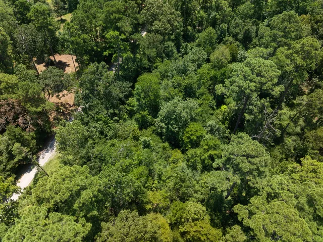 view of a bunch of trees and bushes