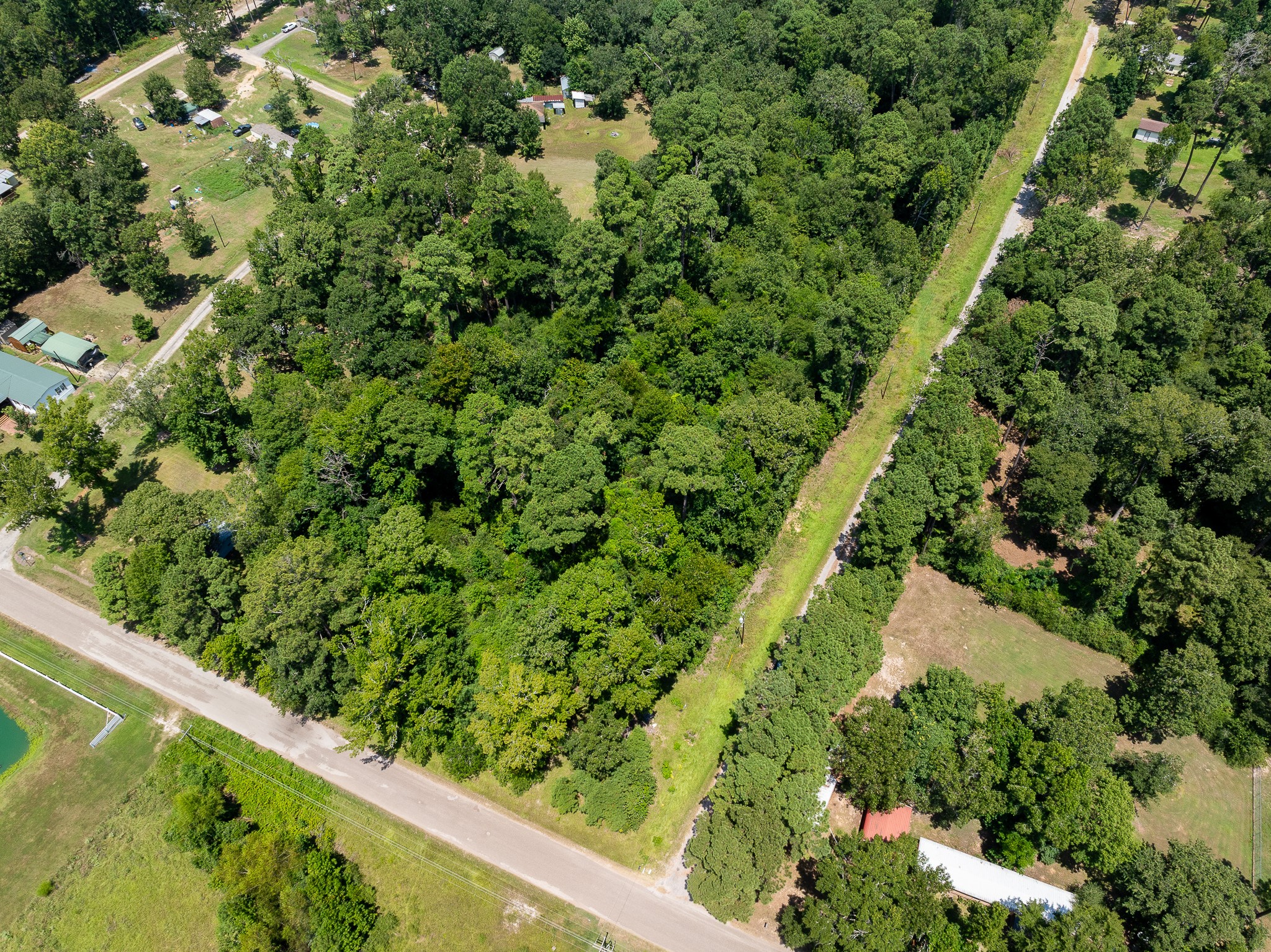 Tba Buzzard Roost Trail Trinity, TX 75862 - Photo 2 of 21 a view of a garden with a plant
