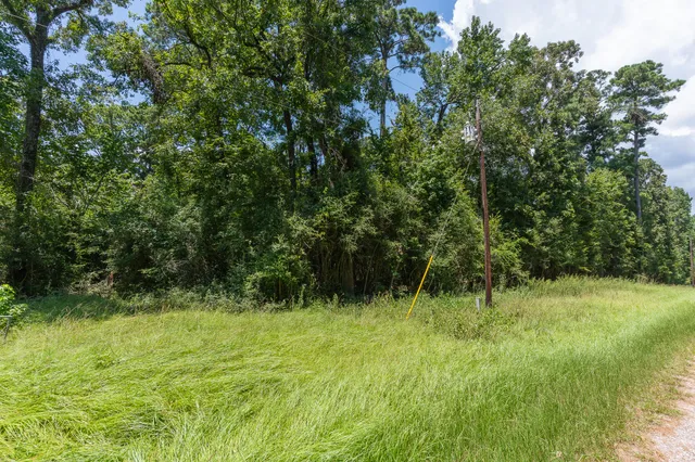 $55,000 | Tba Buzzard Roost Trail, Trinity, TX 75862