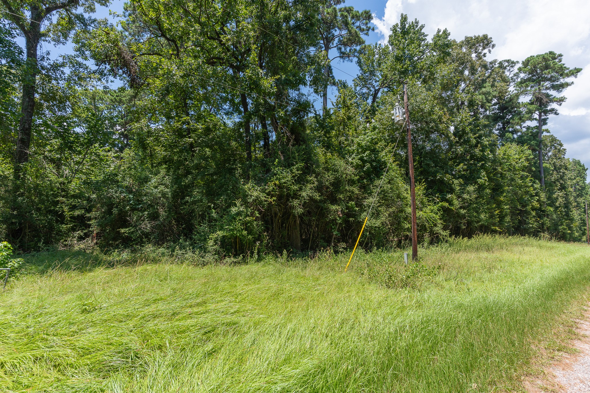 Tba Buzzard Roost Trail Trinity, TX 75862 - Photo 21 of 21 a view of outdoor space with a garden